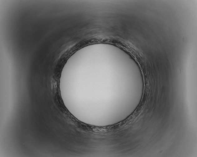 X0000115511302200911060954