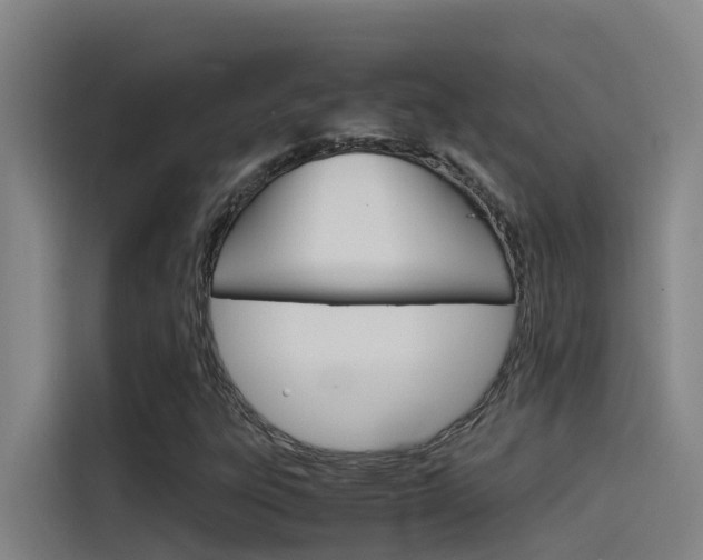 X0000115511303200911060954