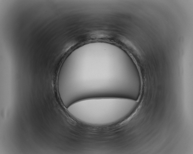 X0000115511305200911060954
