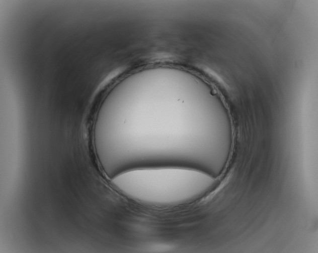 X0000115511309200911060954