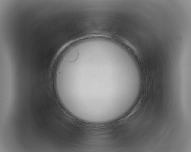 X0000115511310200911060954