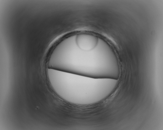 X0000115511311200911060954