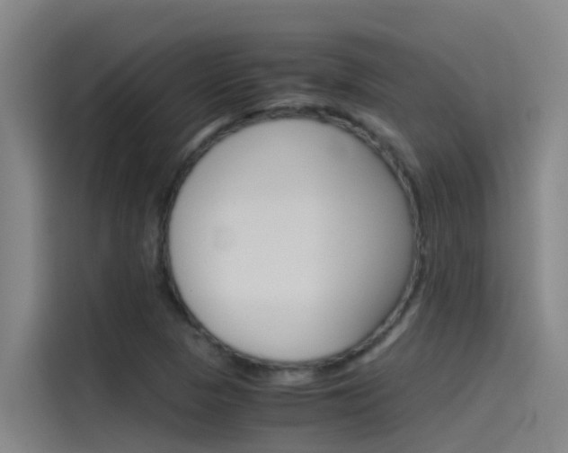 X0000115511313200911060954