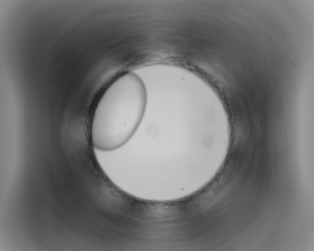 X0000115511314200911060954