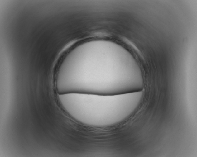 X0000115511315200911060954