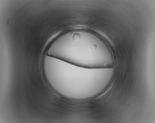 X0000115511317200911060954