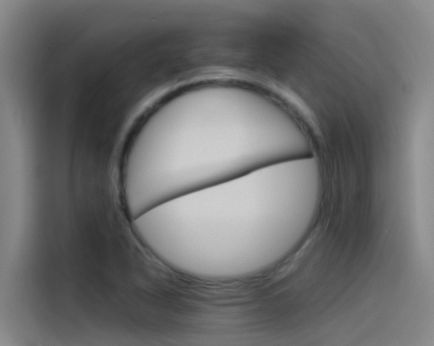 X0000115511318200911060954