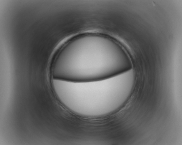 X0000115511319200911060955