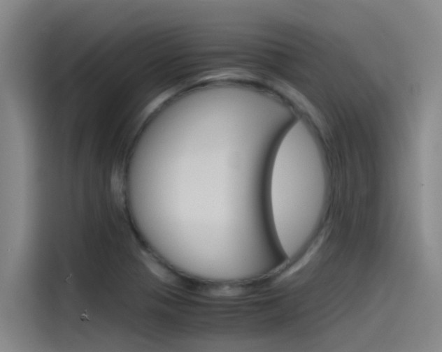 X0000115511321200911060955