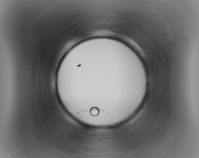 X0000115511322200911060955
