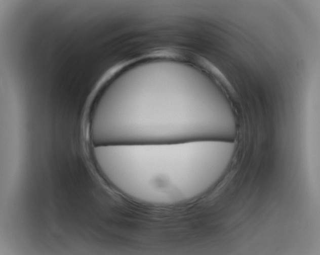 X0000115511323200911060955