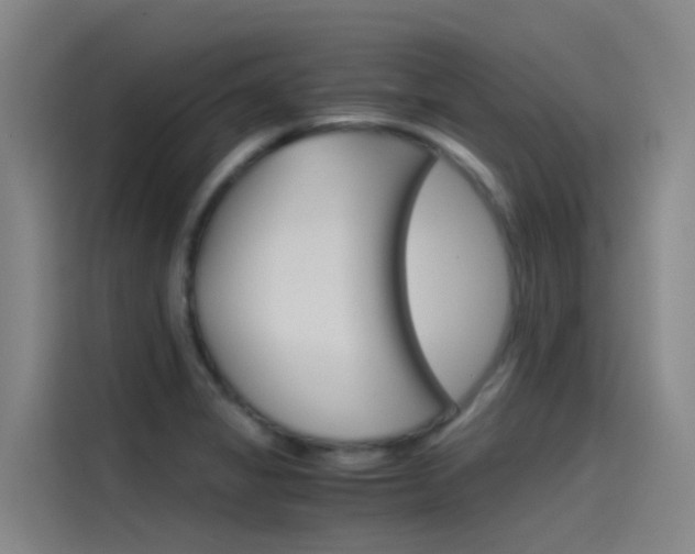 X0000115511325200911060955