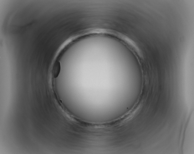 X0000115511326200911060955