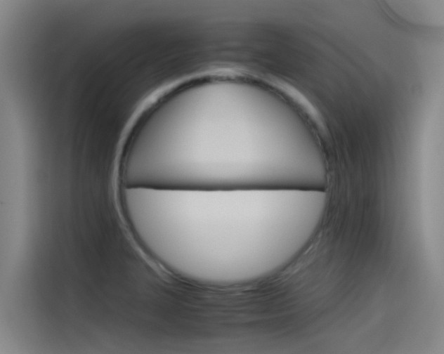 X0000115511327200911060955