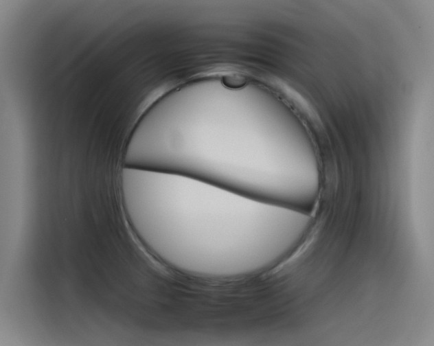 X0000115511329200911060955