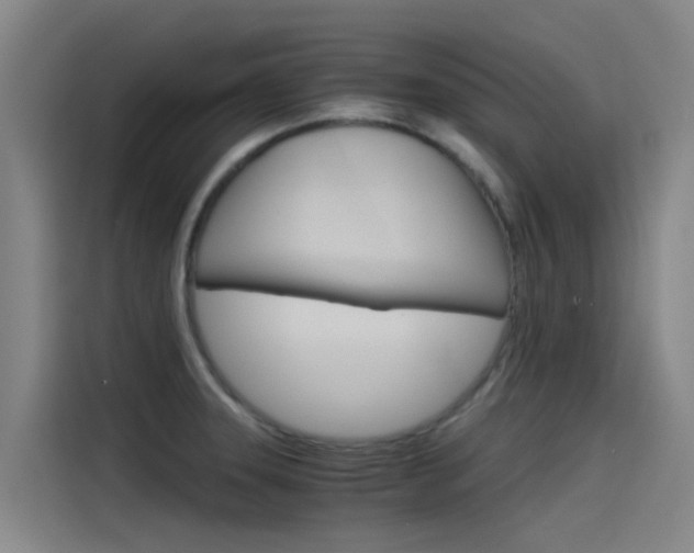 X0000115511331200911060955