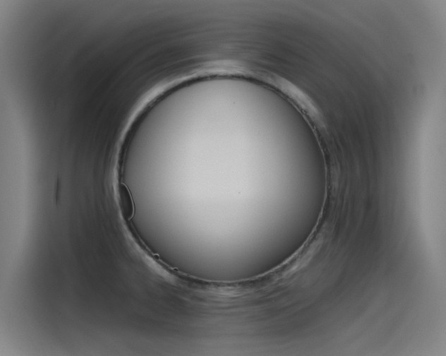 X0000115511334200911060955