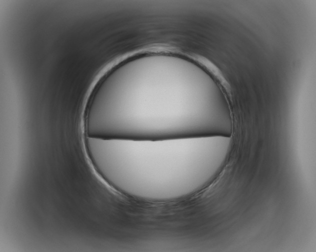 X0000115511335200911060955