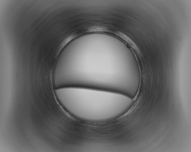X0000115511337200911060955