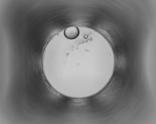 X0000115511338200911060955