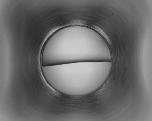 X0000115511339200911060955