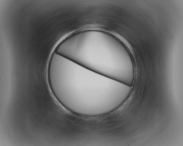 X0000115511341200911060955