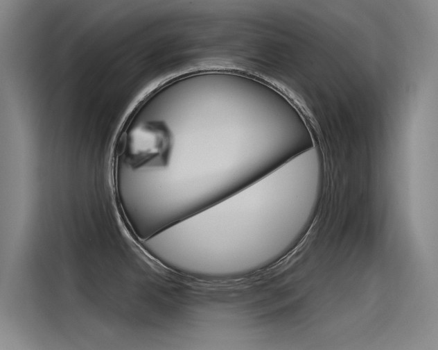 X0000115511342200911060955