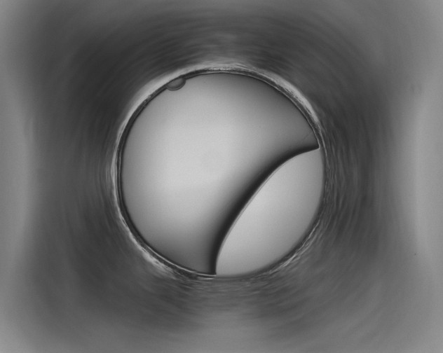 X0000115511343200911060955