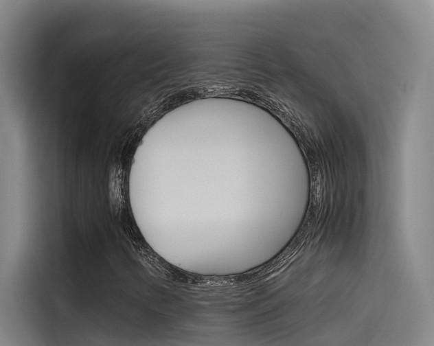 X0000115511346200911060954