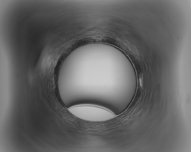 X0000115511347200911060954