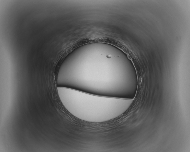 X0000115511348200911060954