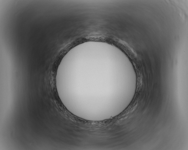 X0000115511350200911060954