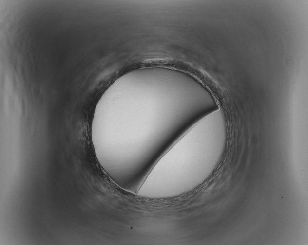 X0000115511351200911060954
