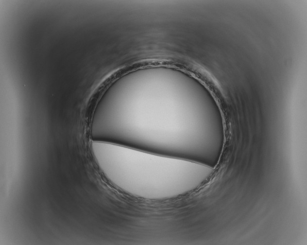 X0000115511352200911060954