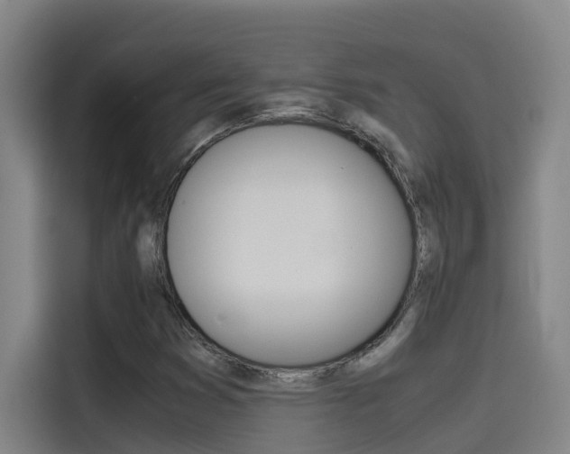 X0000115511353200911060954