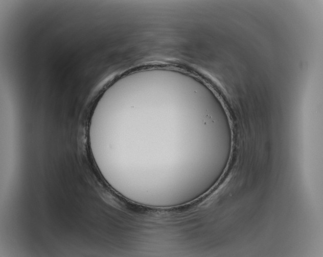 X0000115511355200911060954