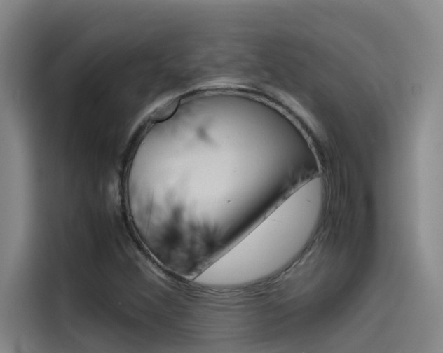X0000115511356200911060954