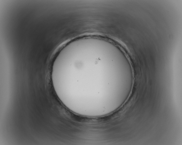 X0000115511359200911060954