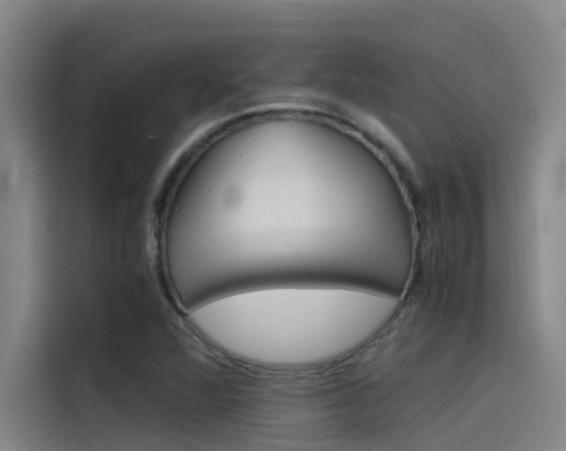 X0000115511360200911060954