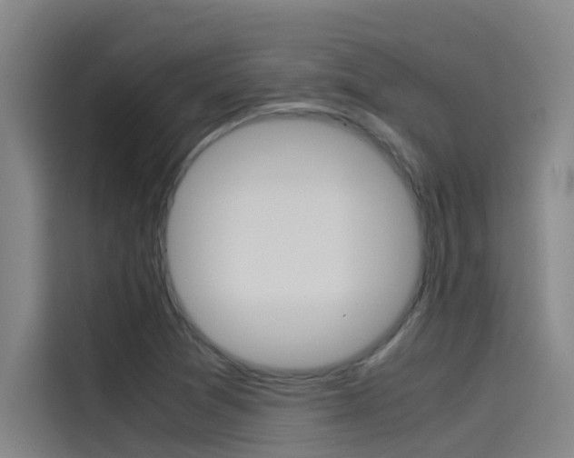 X0000115511361200911060954