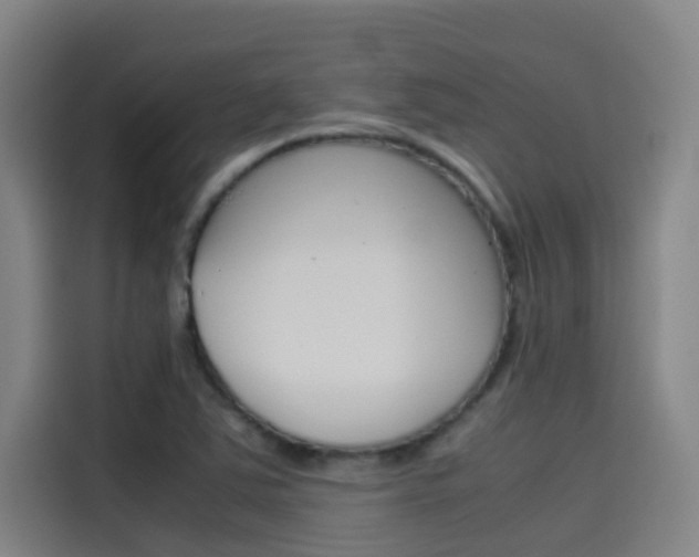 X0000115511363200911060954