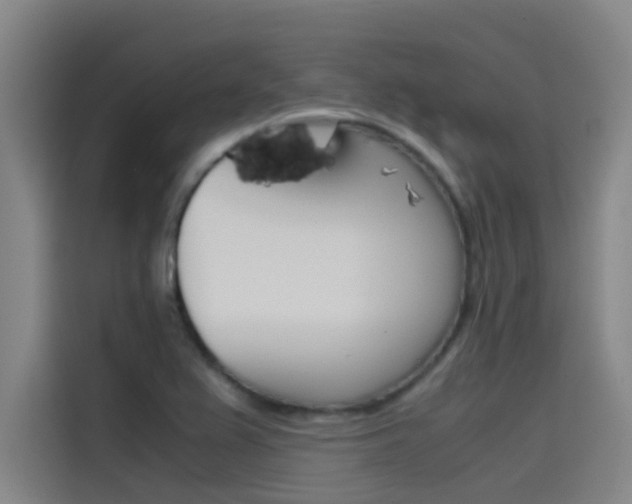 X0000115511367200911060954