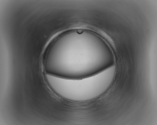 X0000115511368200911060954