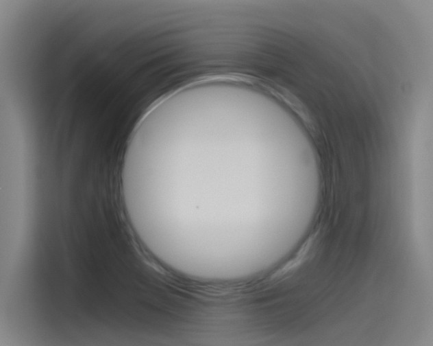 X0000115511369200911060954