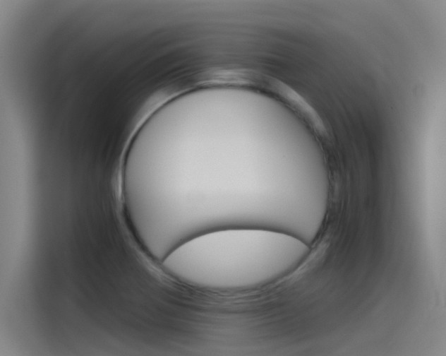 X0000115511370200911060954