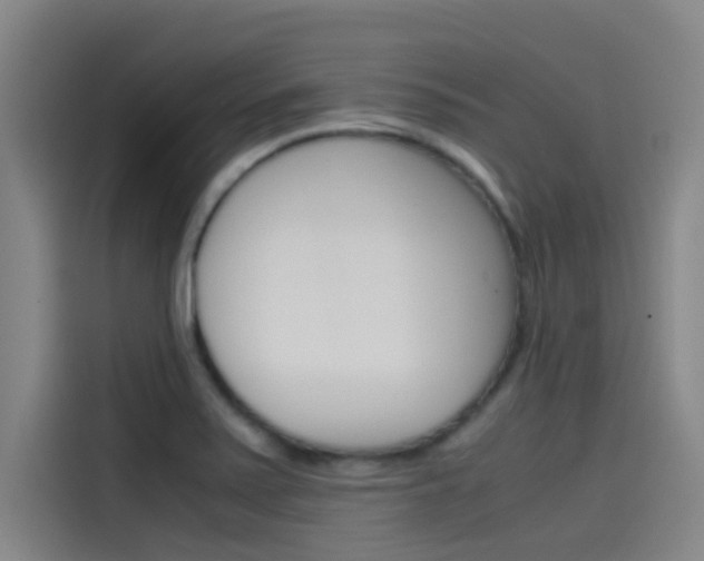 X0000115511371200911060954