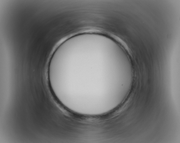 X0000115511375200911060954