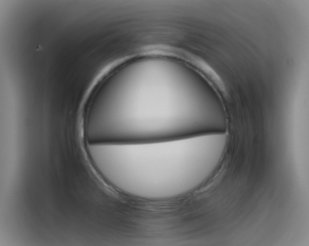 X0000115511376200911060954