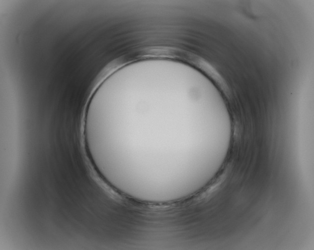 X0000115511378200911060954