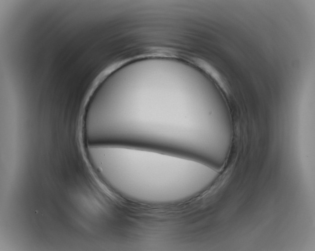 X0000115511379200911060954